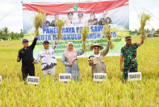 Pemkot Optimis Target Tanam Padi 1.160 Hektar dalam Setahun Tercapai