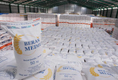 Perum BULOG Serap Hasil Panen Petani Hingga 800 Ribu Ton