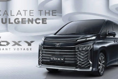Tertarik Beli Toyota Voxy? Ini Harga Mobil Voxy Ala Alphard Terbaru di Juni 2024