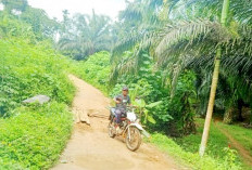 Jembatan Penghubung dua Desa Butuh Perhatian Serius Pemda Kaur