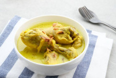 Silahkan Dicoba, Tips Memasak Opor Ayam Biar Enak