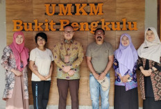 Dukungan Penuh Bagi UMKM Bersertifikat Halal di Benteng Terus Diberikan