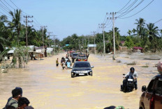 Terus Bertambah, Korban Banjir Aceh-Sumatera Capai 916 Jiwa, 274 Orang Masih Hilang