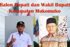 PKB dan Hanura Sepakat Usung Kader Maju Pilkada Mukomuko, Infonya Pasangan 2