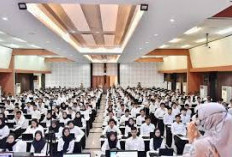 Inilah Alasan Mengapa Kriteria S1 dan Lulusan SMA Tidak Bisa Mendaftar di Tes Seleksi CPNS 2025. Yuk Simak!