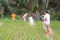 Ini Cara TNI Atasi Pengairan Sawah Masyarakat