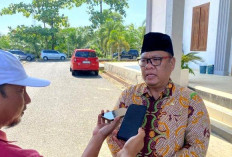 Pemungutan Suara, Rabu 27 November 2024 Libur Nasional Kecuali Satu Dinas Wajib Masuk Kerja 