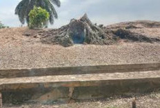 Bukit Kerang, Tempat Wisata yang Banyak Menyimpan Cerita Sejarah di Aceh Tamiang hingga Dijadikan Wisata 