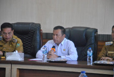 Sinkronisasi Bangga Kencana di Daerah, Memastikan Program Nasional Efektif di Tingkat Lokal