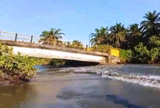 Tak Kunjung Diperbaiki, Jembatan Penghubung Seluma Selatan - Ilir Talo Terancam Putus