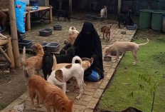 Jangan Sembarangan Memelihara Anjing, Ini Hukum Jika Muslmi Memelihara Anjing