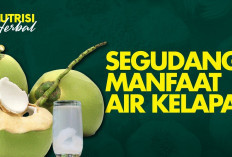 7 Manfaat Hebat yang Didapat Jika Meminum Air Kelapa Secara Rutin, Nomor 7 Bisa Mencegah Batu Ginjal