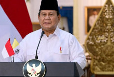 Ini Pertimbangannya, Presiden Prabowo Bubarkan Tim Satgas Saber Pungli