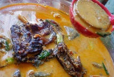 Mencoba Kelezatan Gulai Taboh Iwa Tapa: Kuliner Khas Lampung Pesisir yang Menjadi Menu Andalan Warga Lokal 