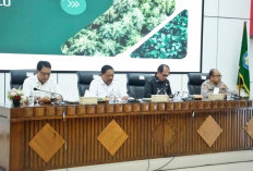 Reklamasi Pascatambang dan Perkebunan, Pemprov Bengkulu Targetkan Penanaman Pohon Serentak Akhir Desember