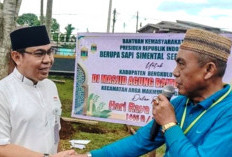 Untuk Bengkulu Utara, Sapi Kurban Presiden Prabowo Diserahkan kepada Pengurus Masjid Agung Baitul Makmur