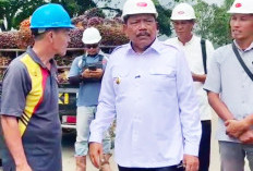 Harga Sawit Anjlok Pasca Lebaran, Wagub Bengkulu Sidak ke Pabrik Sawit