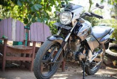 Bertenaga Maksimum 17,4 PS, yuk intip Harga Motor Seken Honda Tiger 2012, tembus Rp. 1 jutaan loh