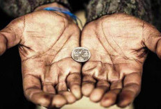Menurut Syariat Islam, Hanya Golongan Ini yang Berhak Menerima Zakat