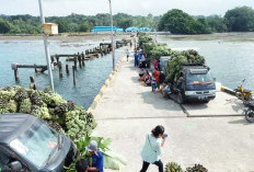 Cuaca Buruk di Bengkulu, Transportasi Laut ke Pulau Enggano Terhenti