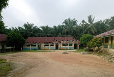 Rismadi Anggota DPR Kaur Kecewa Kondisi SDN 34 di Desa Tanjung Aur Memperihatinkan