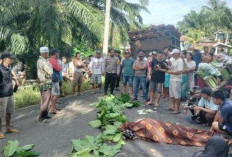 Laka Maut, Pedagang Sayur Tewas Dilindas Truk Sawit