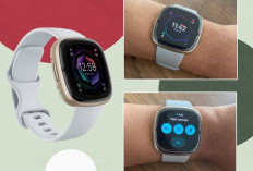 Fitbit Sense 2 vs Apple Watch Series 9: Jam Tangan Pintar untuk Pantau Kesehatan secara Lengkap