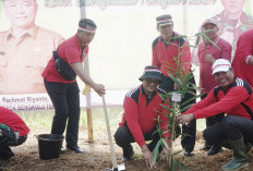 Penanaman Bambu dalam Rangka Rehabilitasi Sempadan Sungai Lemau