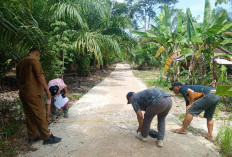 Pembangunan Jalan Rabat Beton  Tuntas, Warga Desa Air Batang Menikmati Manfaat Dana Desa