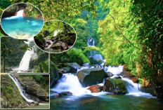 Ada yang Masih Alami! Inilah 5 Tempat Wisata Air Terjun di Bogor yang Bikin Betah dan Wajib Dikunjungi
