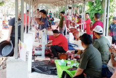Kanwil Kemenag Provinsi Bengkulu Lakukan Pemotongan 20 Ekor Sapi Kurban