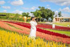 Inilah 3 Tempat Wisata di Khao-Yai Bangkok yang Cocok dijadikan Destinasi Liburan ke Luar Negeri