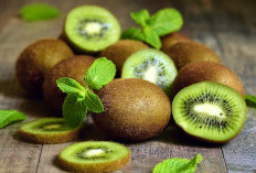 Buah Kiwi Untuk Perkembangan Anak, Ini Manfaatnya 