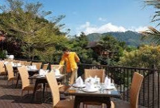 Suasananya Sejuk dan Khas, Berikut 5 Tempat Makan di Kota Batu yang Wajib Dicobain, Cocok Banget Dikunjungi 