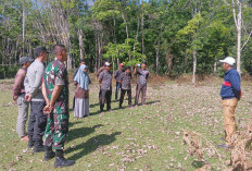 Titik nol Ketahanan Pangan, Desa Air Jelatang Tanam Jagung