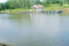 Danau Tempat Wisata Jadi Aset Desa