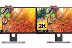 Monitor yang Cocok untu Desainer dan Editor, Perbandingan Spesifikasi Dell UltraSharp 4K vs BenQ PD3200U