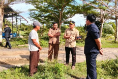 Limbah Akar Kuning Dibuang ke Sungai dan Menimbulkan Aroma Tak Sedap, DPRD Kaur Sidak ke Lapangan