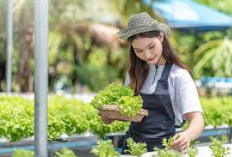 3 Manfaat Kesehatan, Ekonomi, dan Lingkungan dalam Tren Berkebun