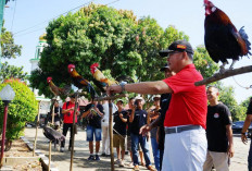 Pameran Ayam Brugo, Gubernur Bengkulu Tekankan Pentingnya Pelestarian Hutan