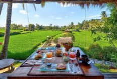  5 Tempat Makan di Ubud Bali Yang Wajib dikunjungi, Cocok untuk Wisata Kuliner Saat Liburan 