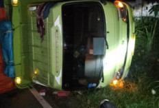 Ngantuk, Truk Bermuatan Bahan Baku Ice Cream Terguling