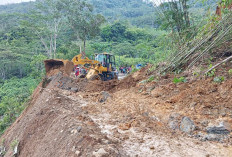 Tiga Kali Longsor di Lebong, Jalan Lintas Lebong-Rejang Lebong Sempat Terputus