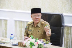 Gubernur Rohidin Imbau Warga Tetap Tenang Soal Ancaman Megathrust di Bengkulu