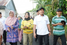 Inflasi Kota Bengkulu Bulan November 2,28 Persen