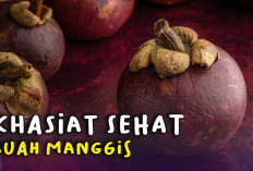  Belum Banyak yang Tahu 8 Manfaat Penting Buah Manggis untuk Kesehatan Tubuh 