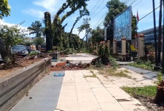 Damkar-DLH Bahu-membahu Pangkas Pohon Tinggi Sepanjang  Jalan S Parman Bengkulu