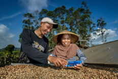 Dorong Perputaran Ekonomi Grassroot, BRI Salurkan Kredit di Segmen Mikro Sebesar Rp632,22 Triliun