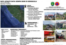 BPBD Kota Bengkulu Catat 174 Bangunan Rusak Akibat Gempa 6,3 SR
