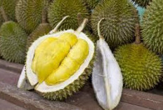 6 Rekomendasi Tempat Makan Durian Di Malaysia, Cocok Untuk Tujuan Wisata Kuliner